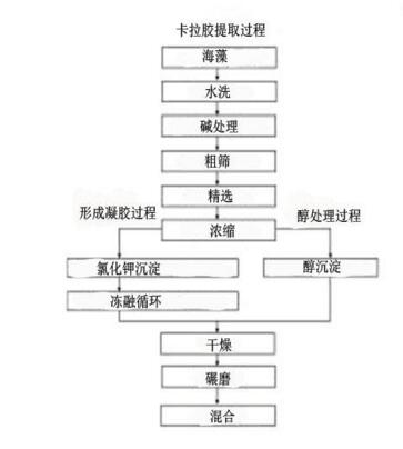 卡拉胶提取工艺流程